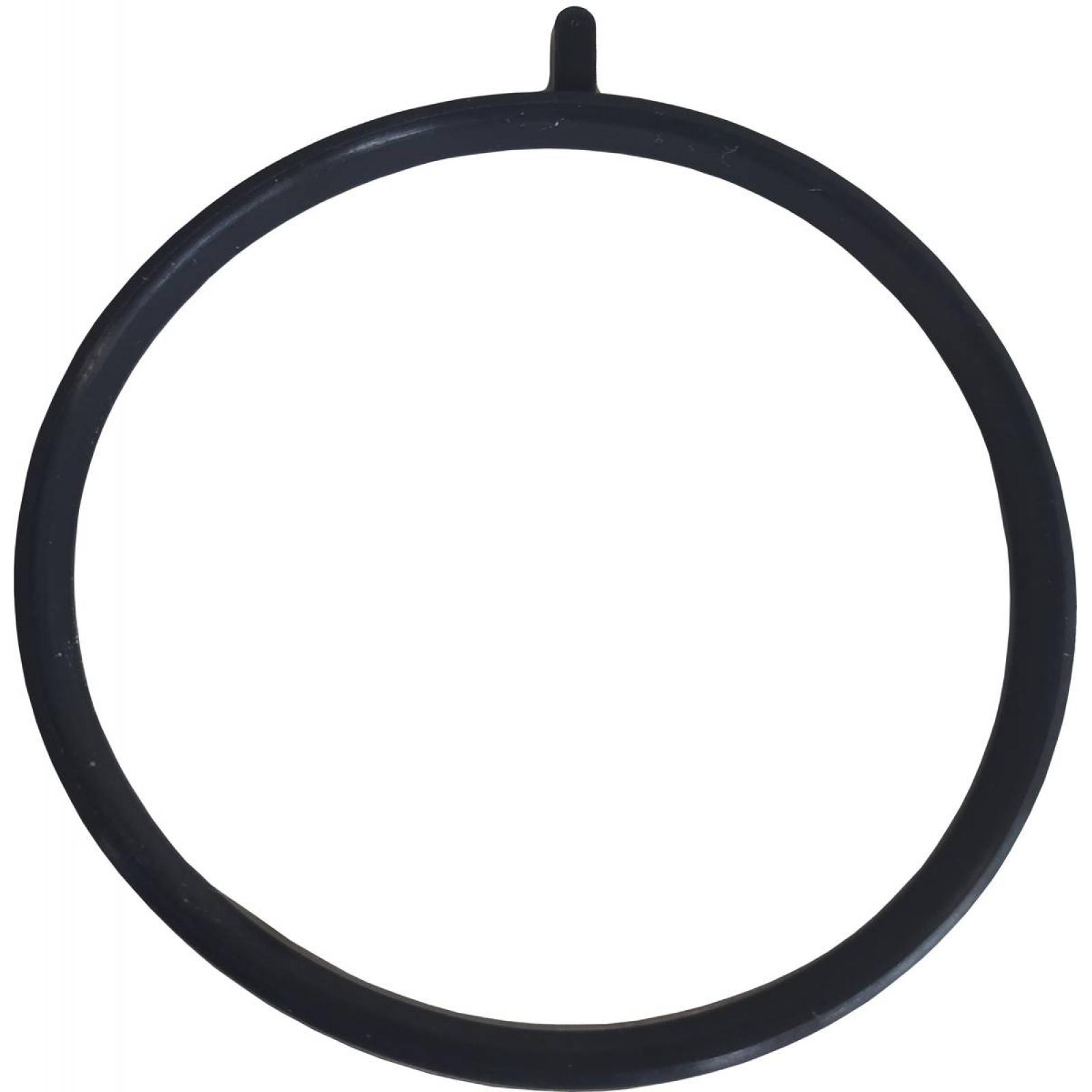 Throttle body o-ring