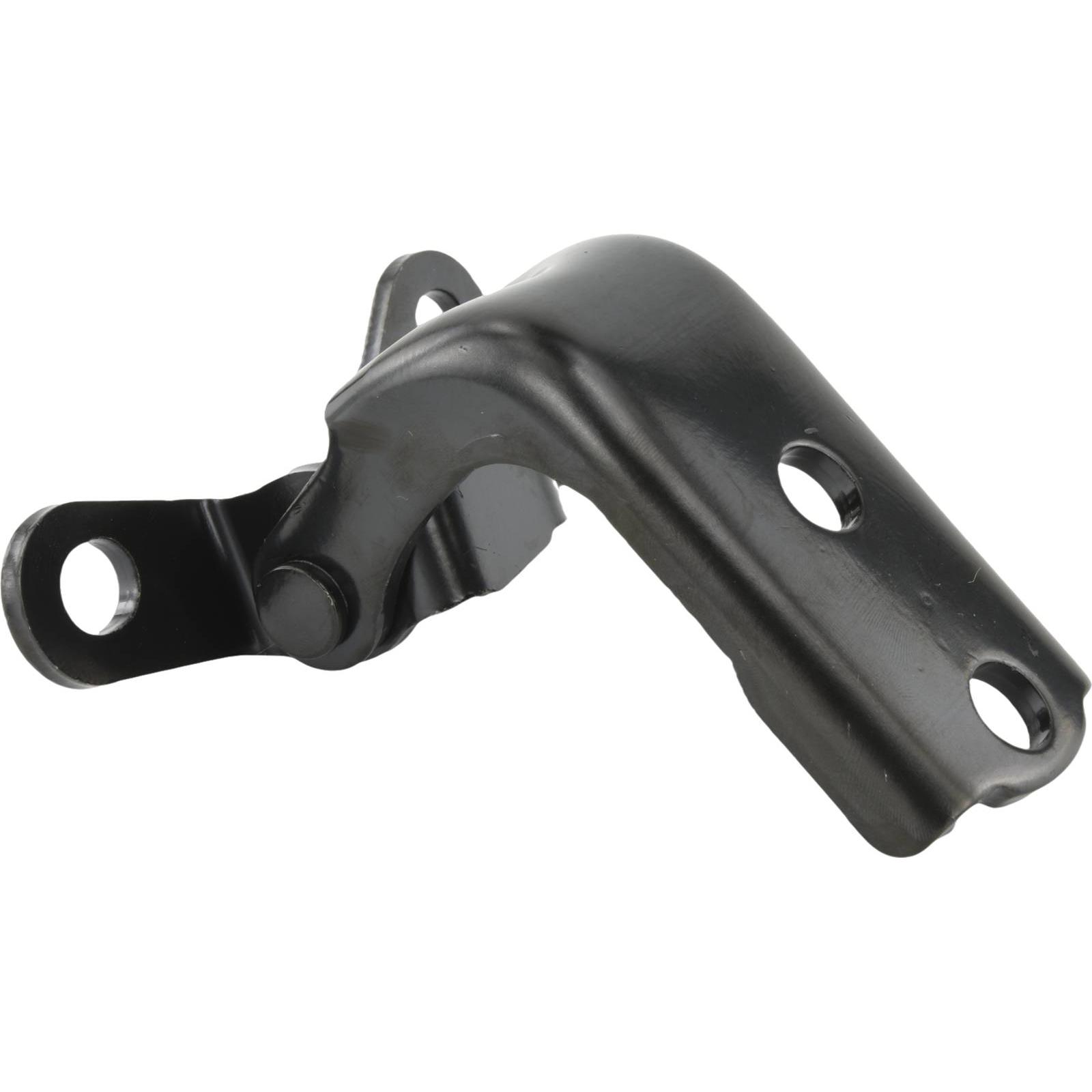 Rear left door lower hinge