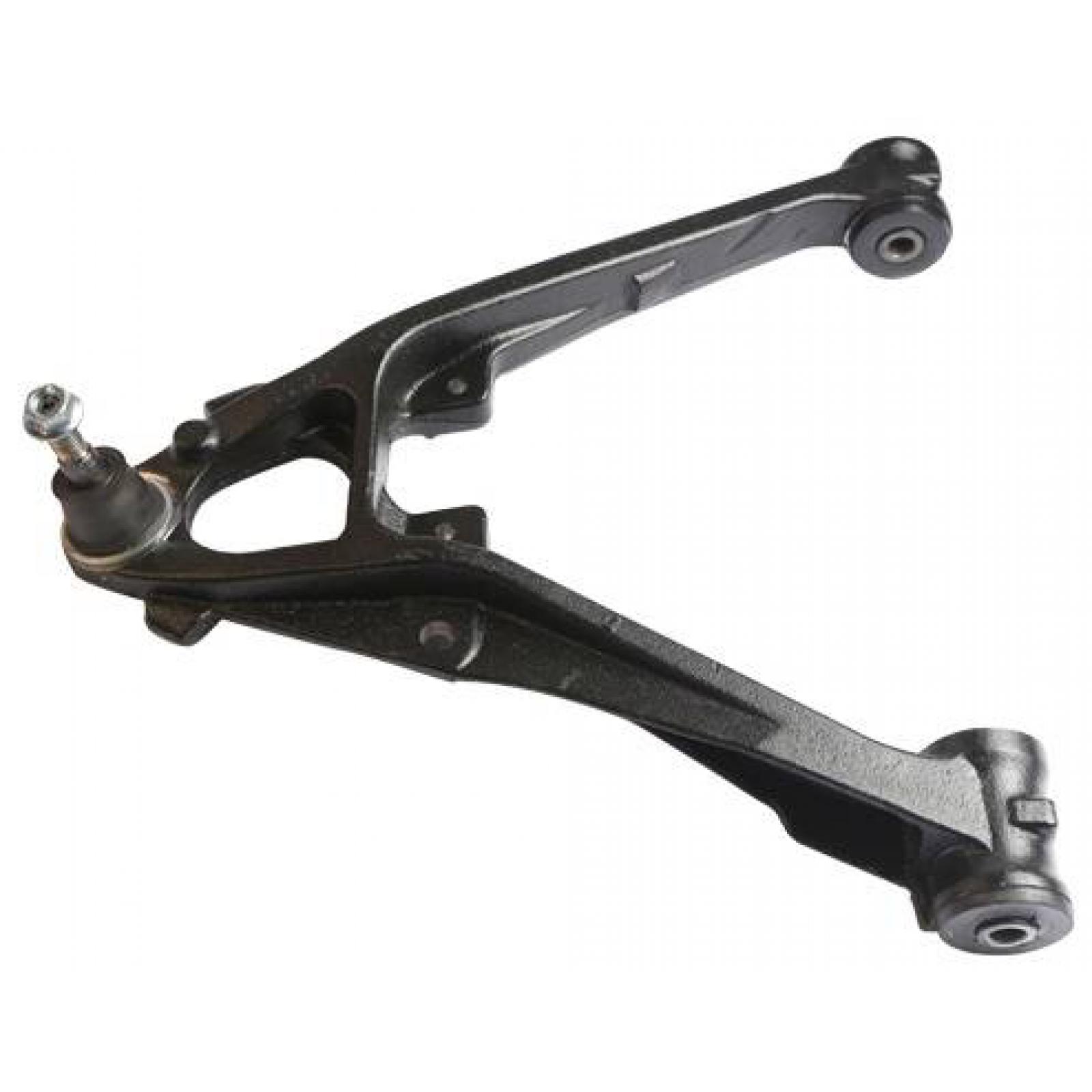 Left lower front arm