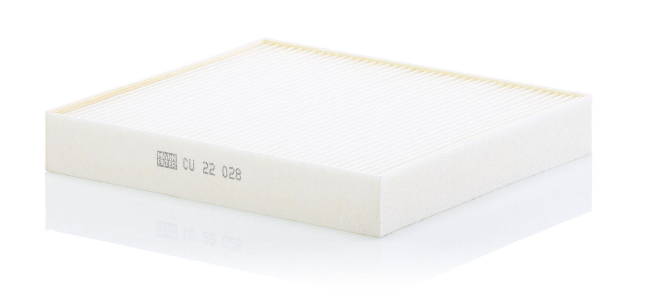 Dust Filter