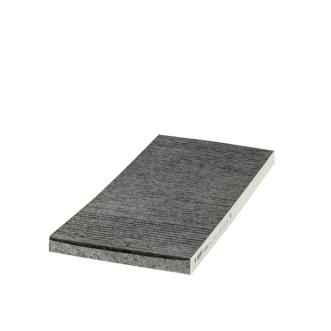 Dust Filter