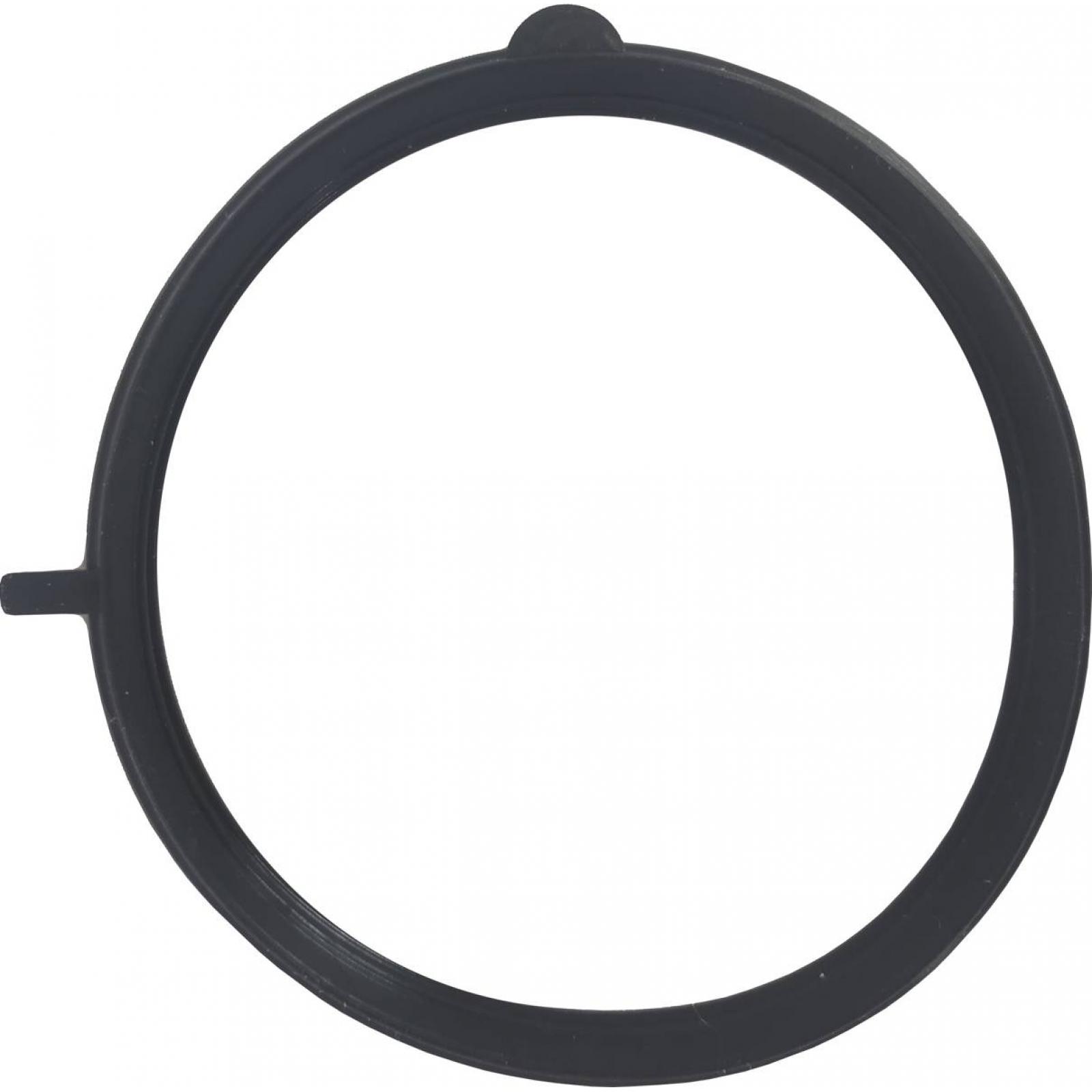 Throttle body o-ring