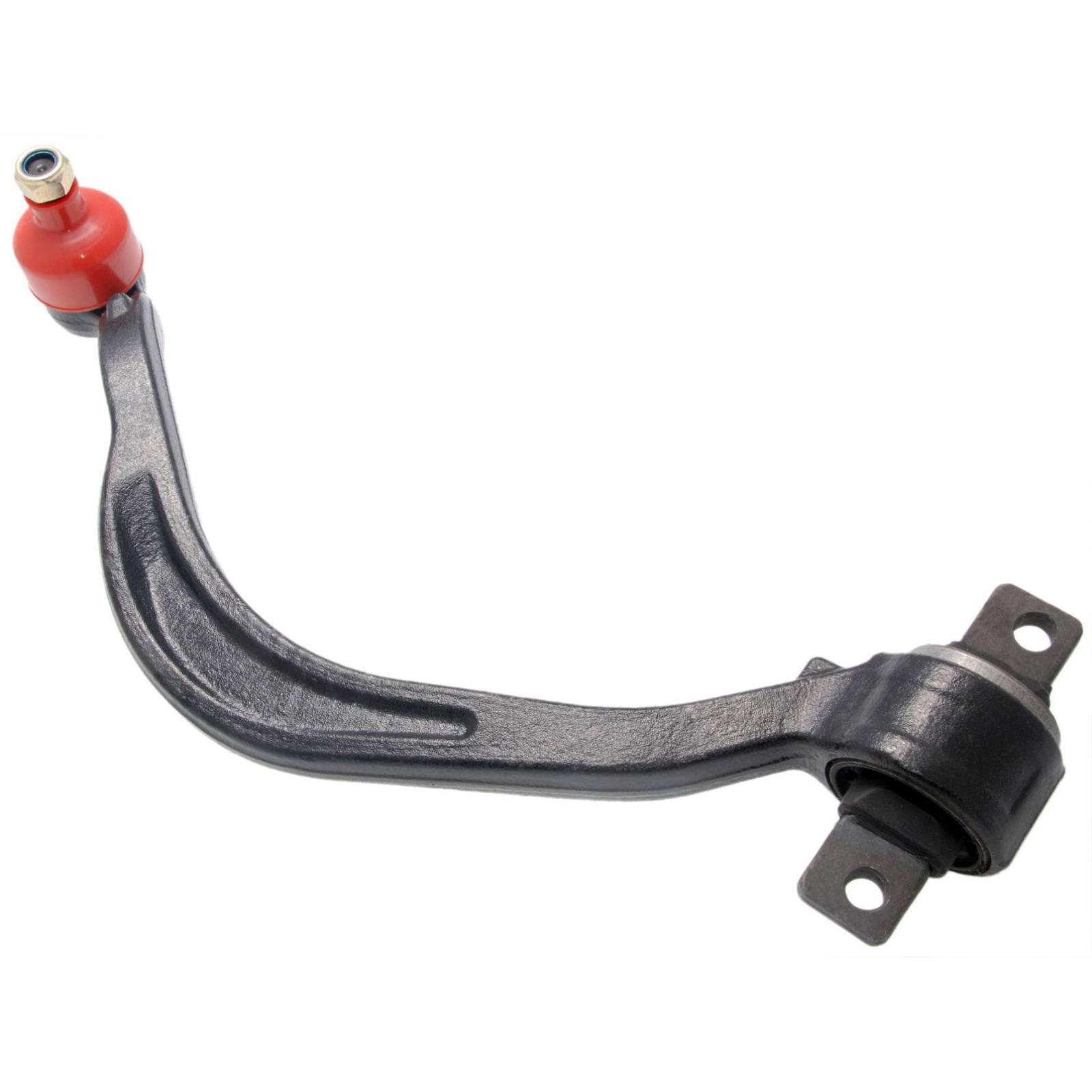 Right lower front arm