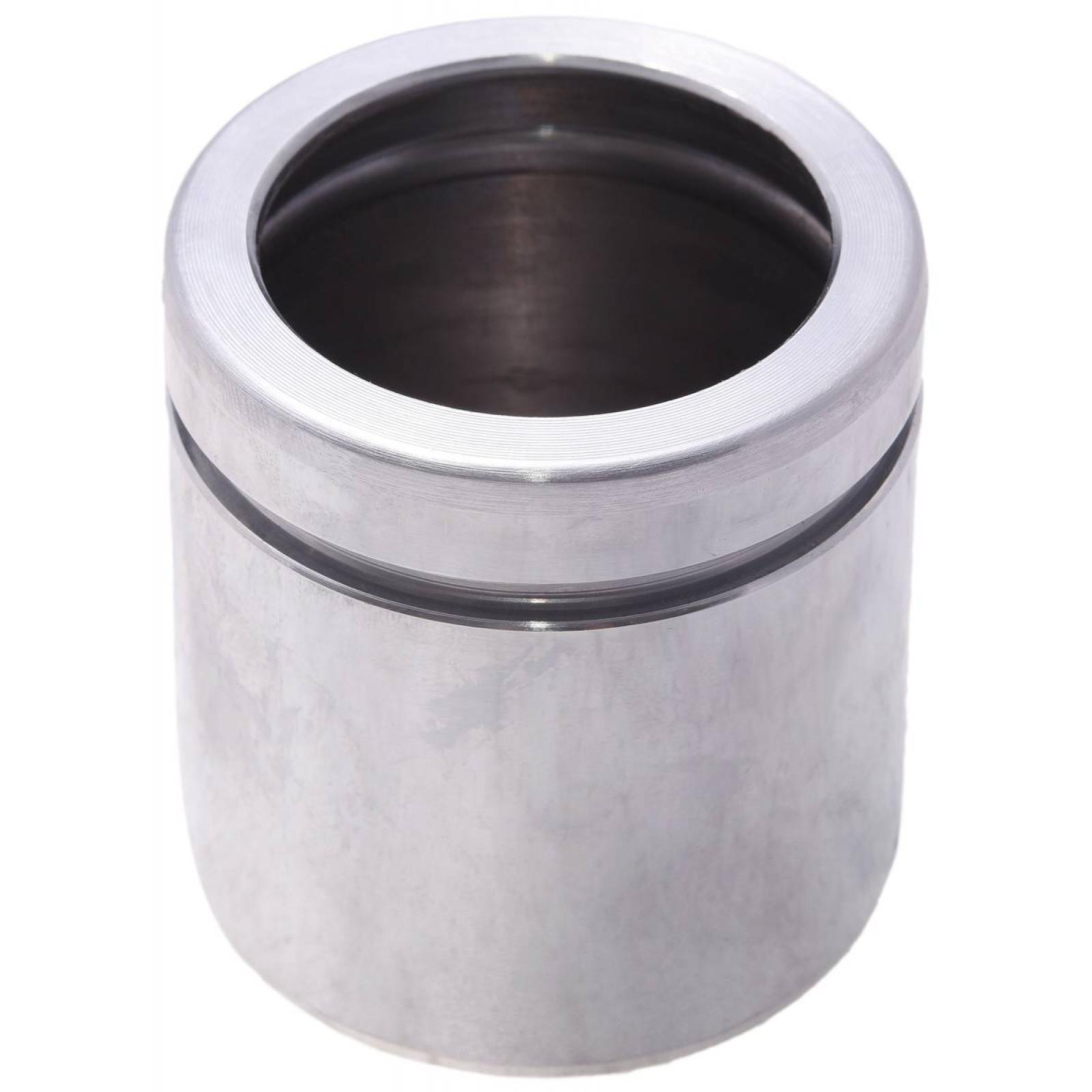 front caliper piston d53.9