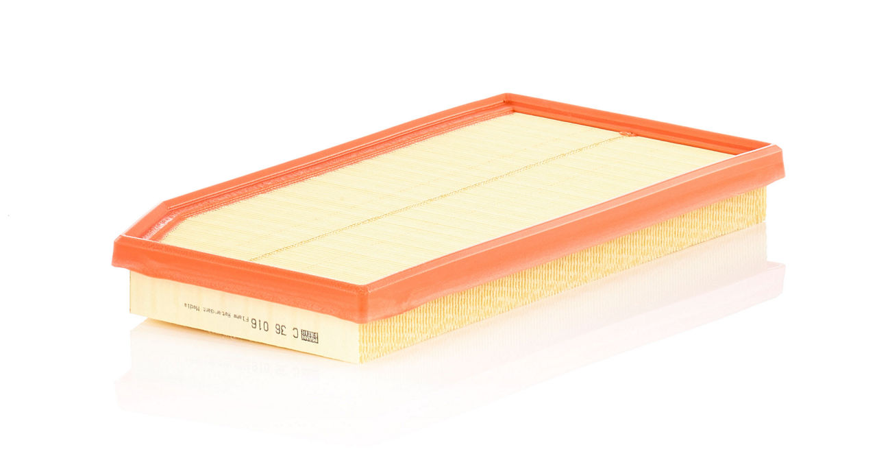 Air Filter C36016