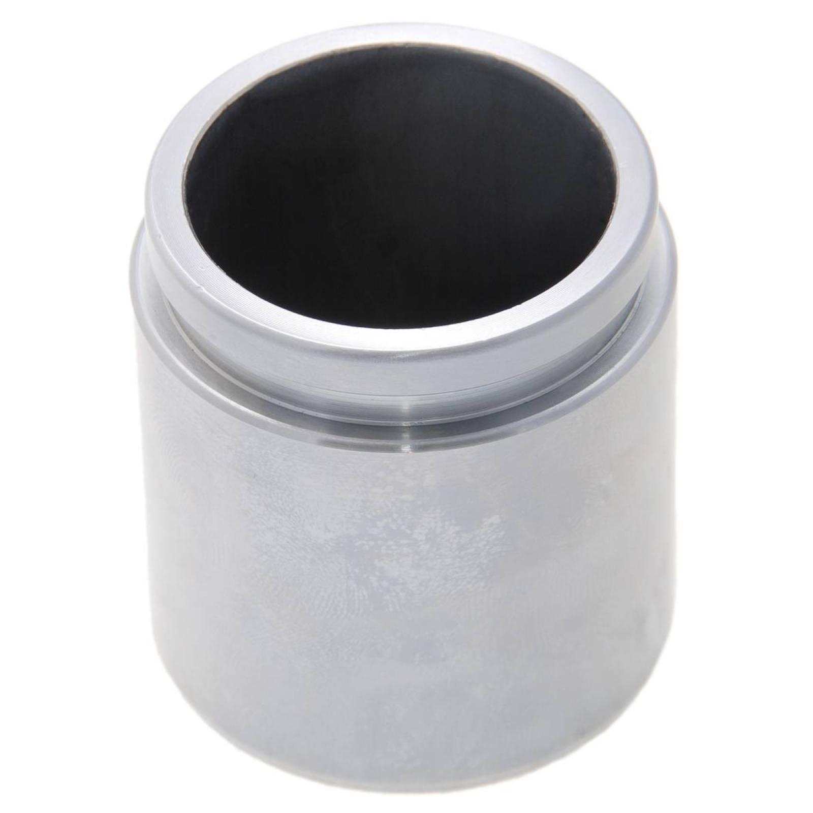 rear caliper piston d48