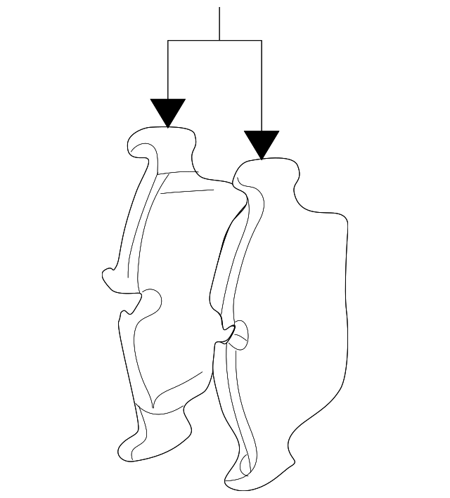 ATE Brake Pad Set - BMW 330Ci Z4 330i 330xi (Front)