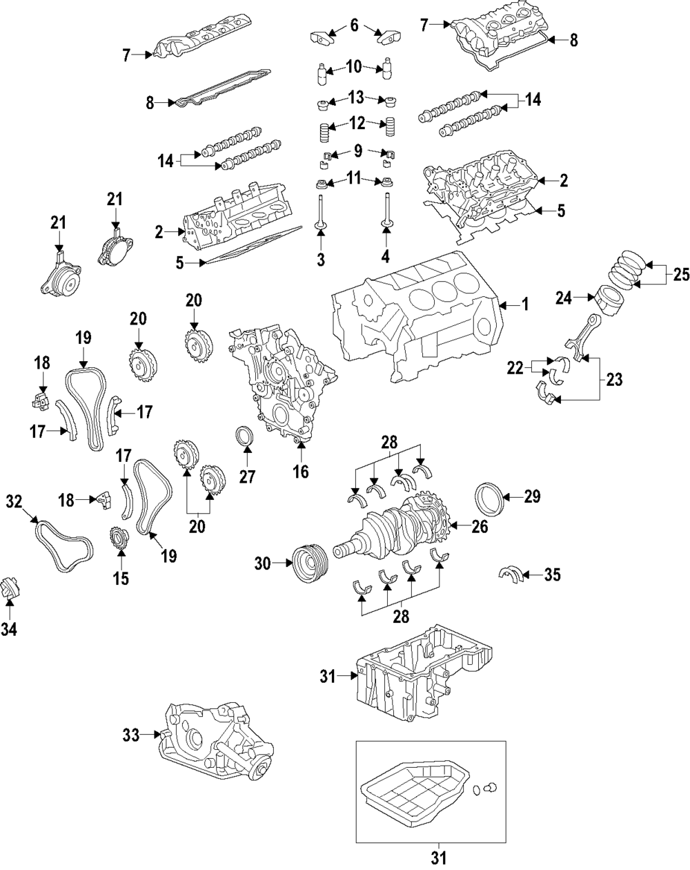 Guide,Oil Pump Chain