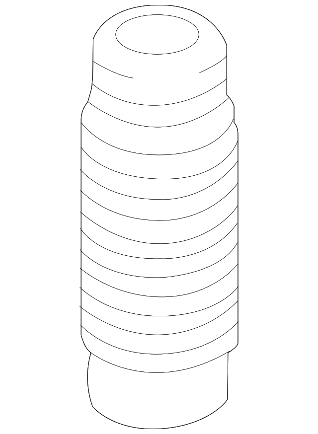 Boot,Dust