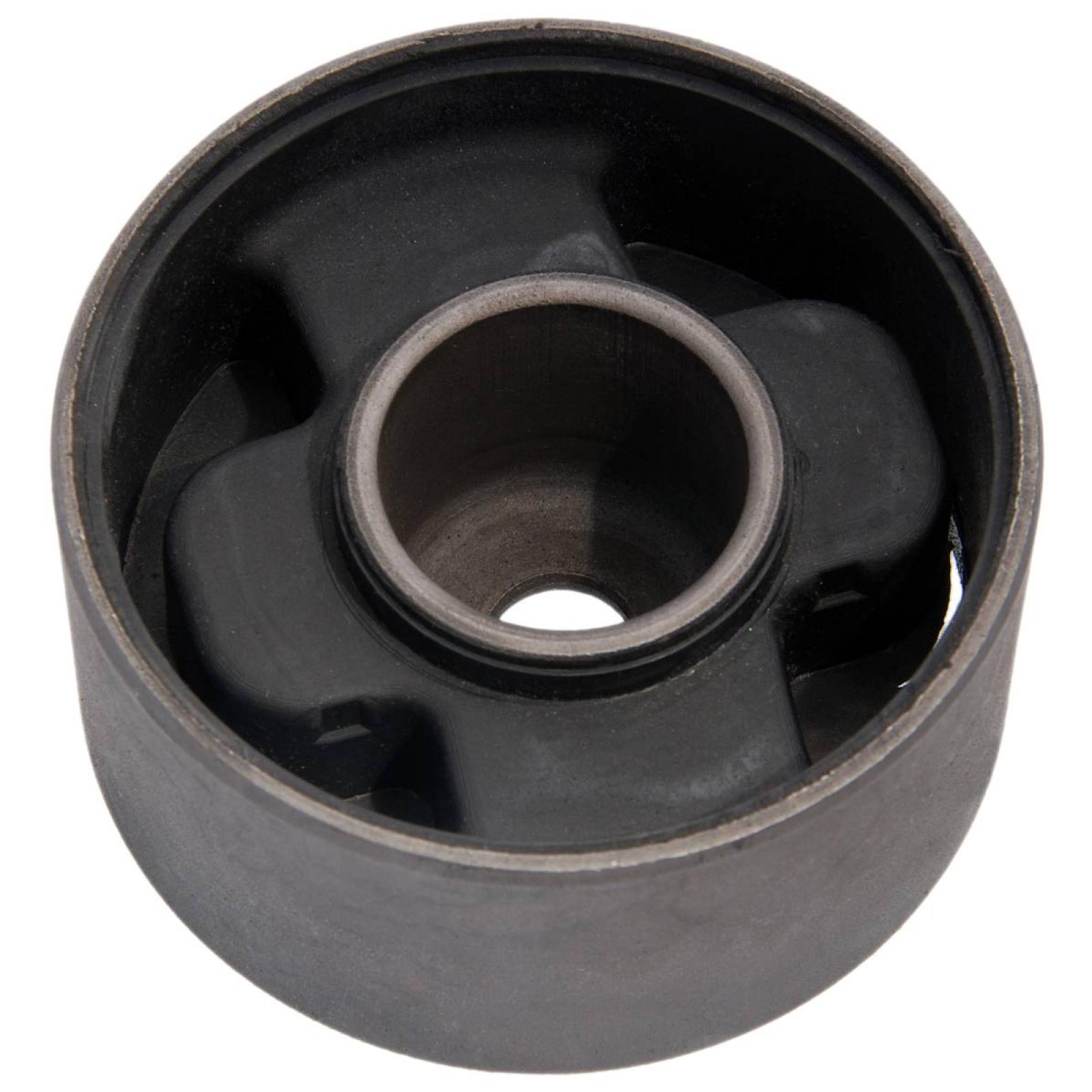 Rear differential bushing