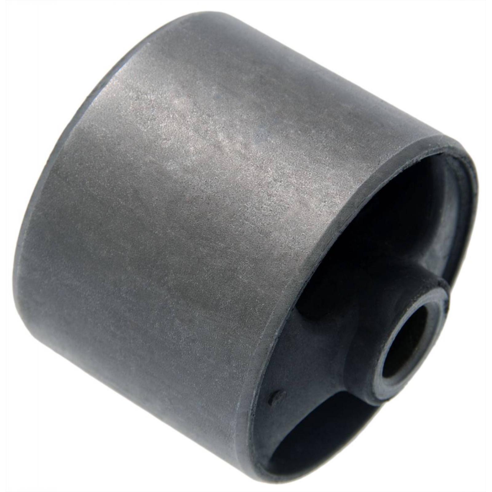 Rear differential bushing
