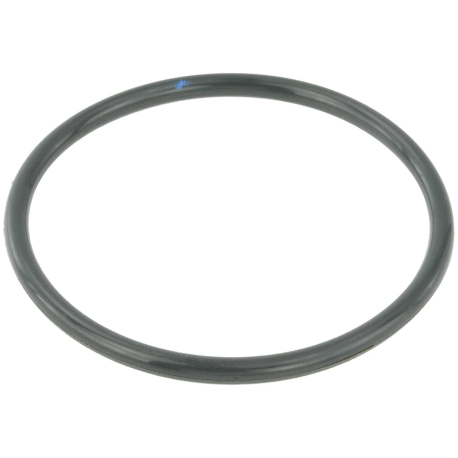 Throttle body o-ring