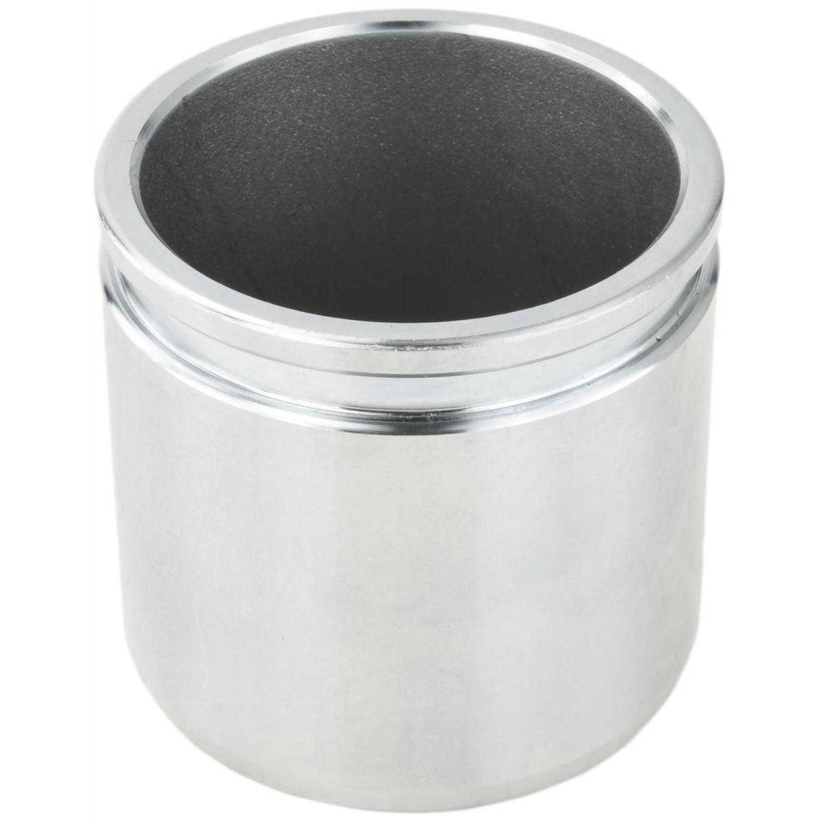rear caliper piston d48.1