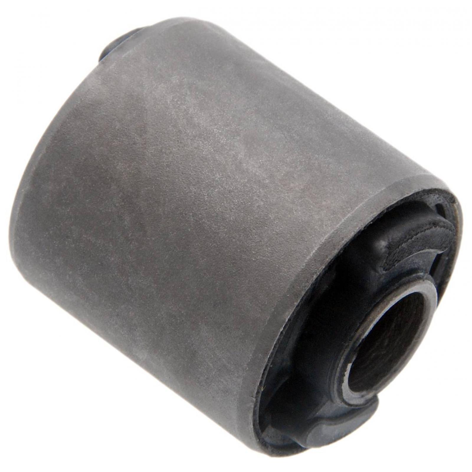 Rear differential bushing
