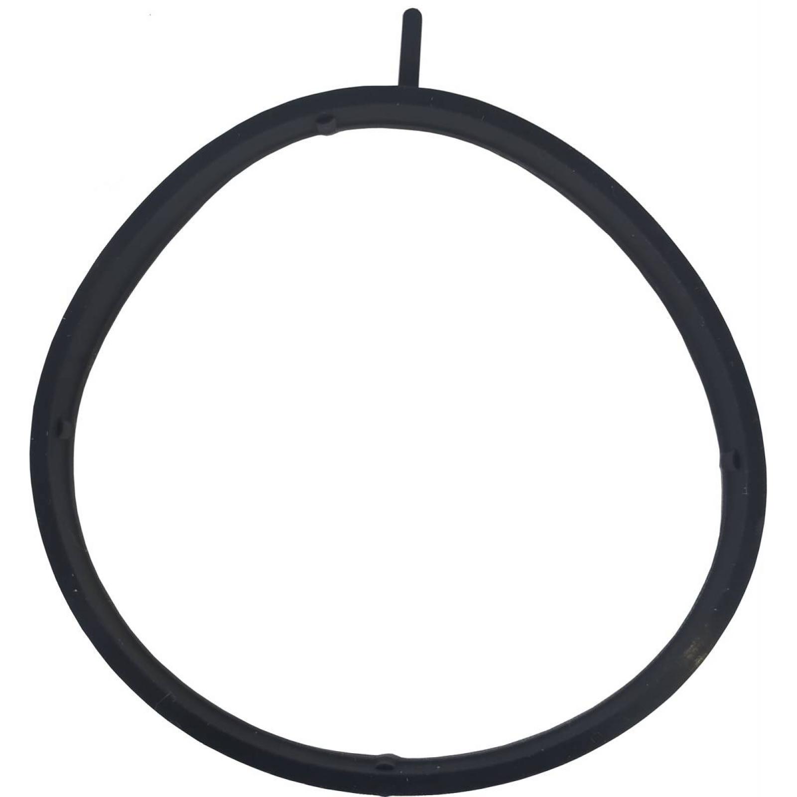 Throttle body o-ring