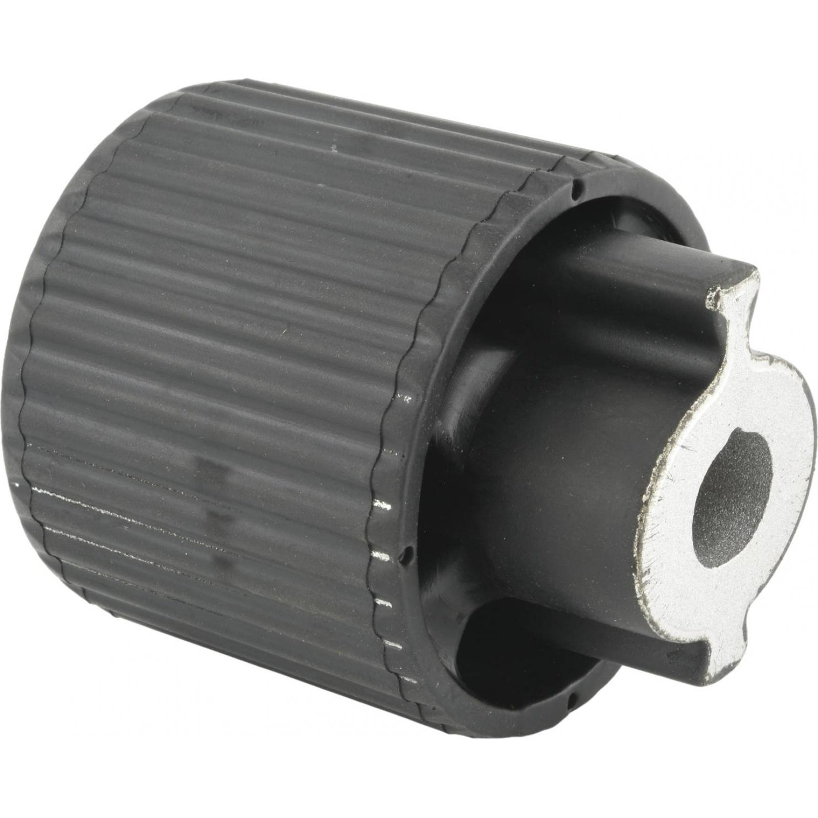 Rear differential bushing