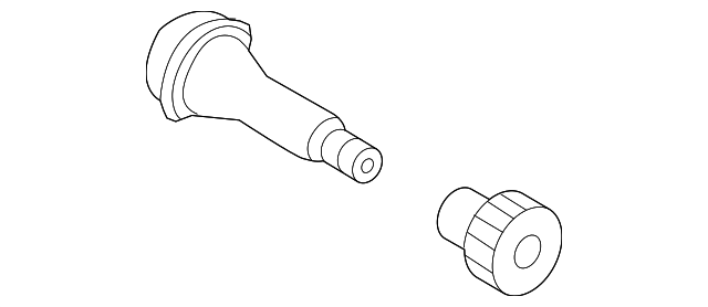 BMW Rubber Valve Stem (42.5mm)