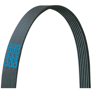 DAYCO 6PK1560 Genuine Poly-V Belt