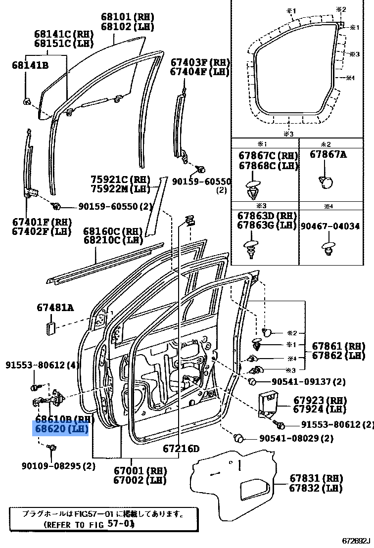 Door Check Assembly