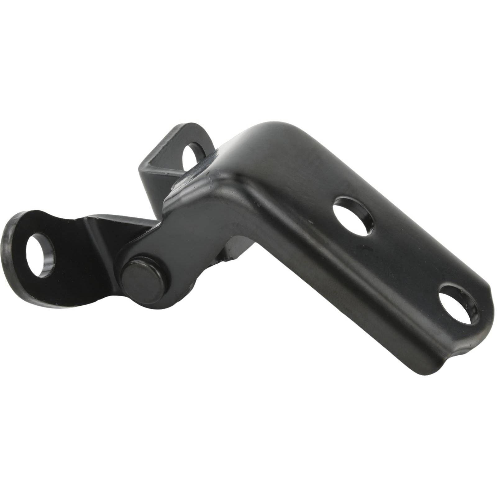 Rear left door lower hinge