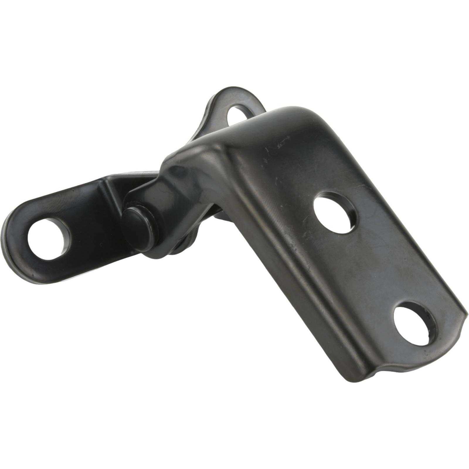 Right rear door lower hinge