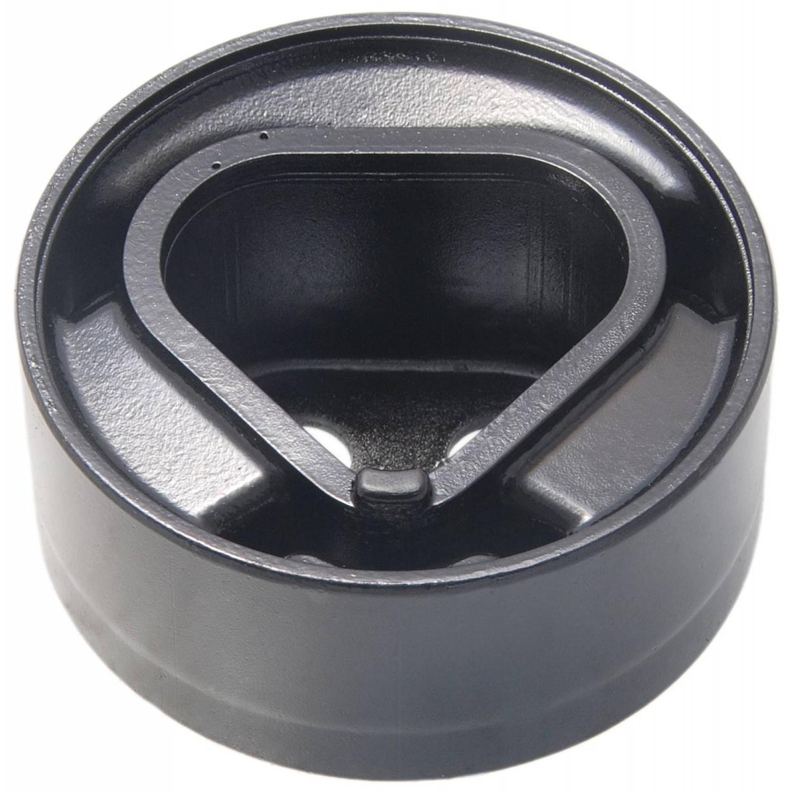 Rear differential mount