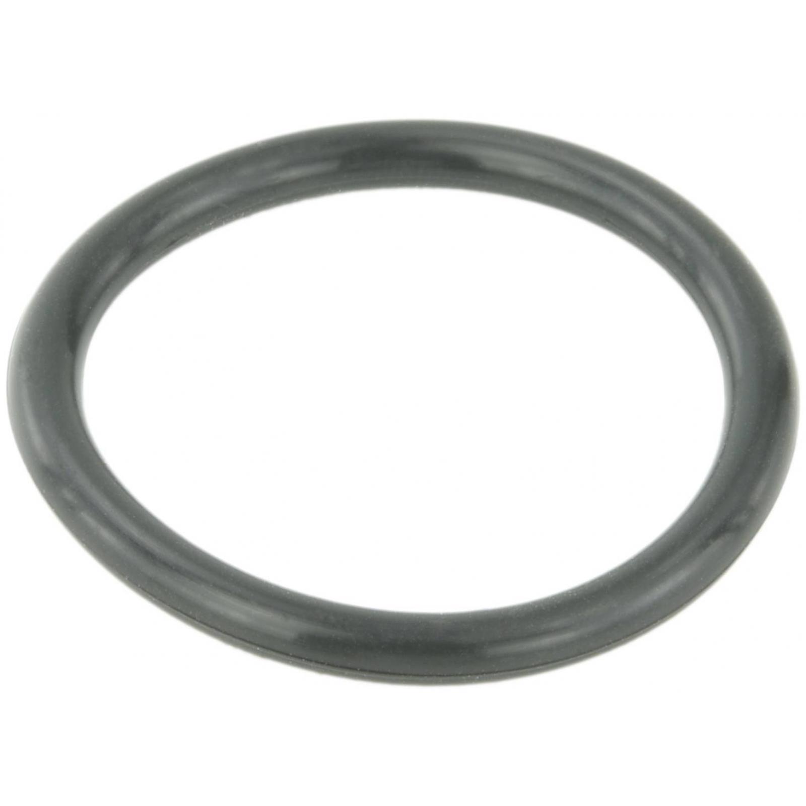 Cooling system o-ring