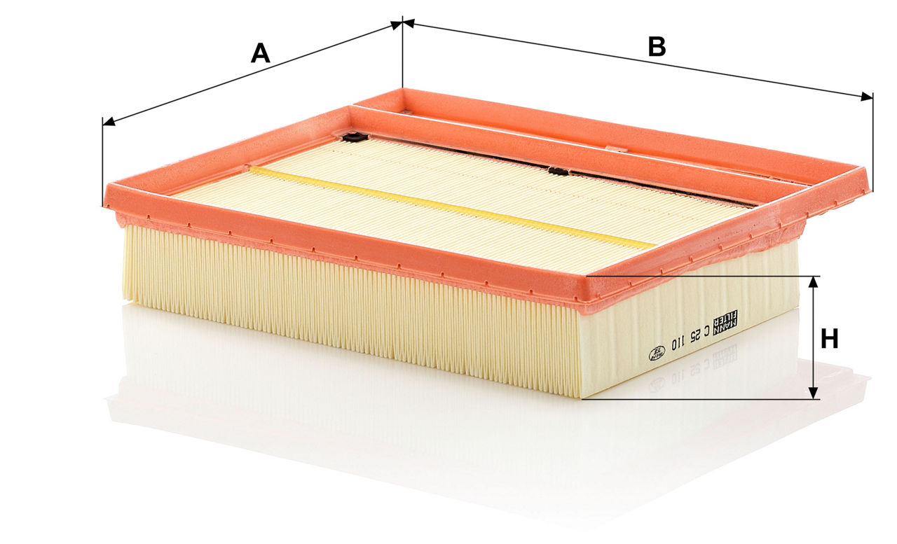 Air Filter W222 C25110-2