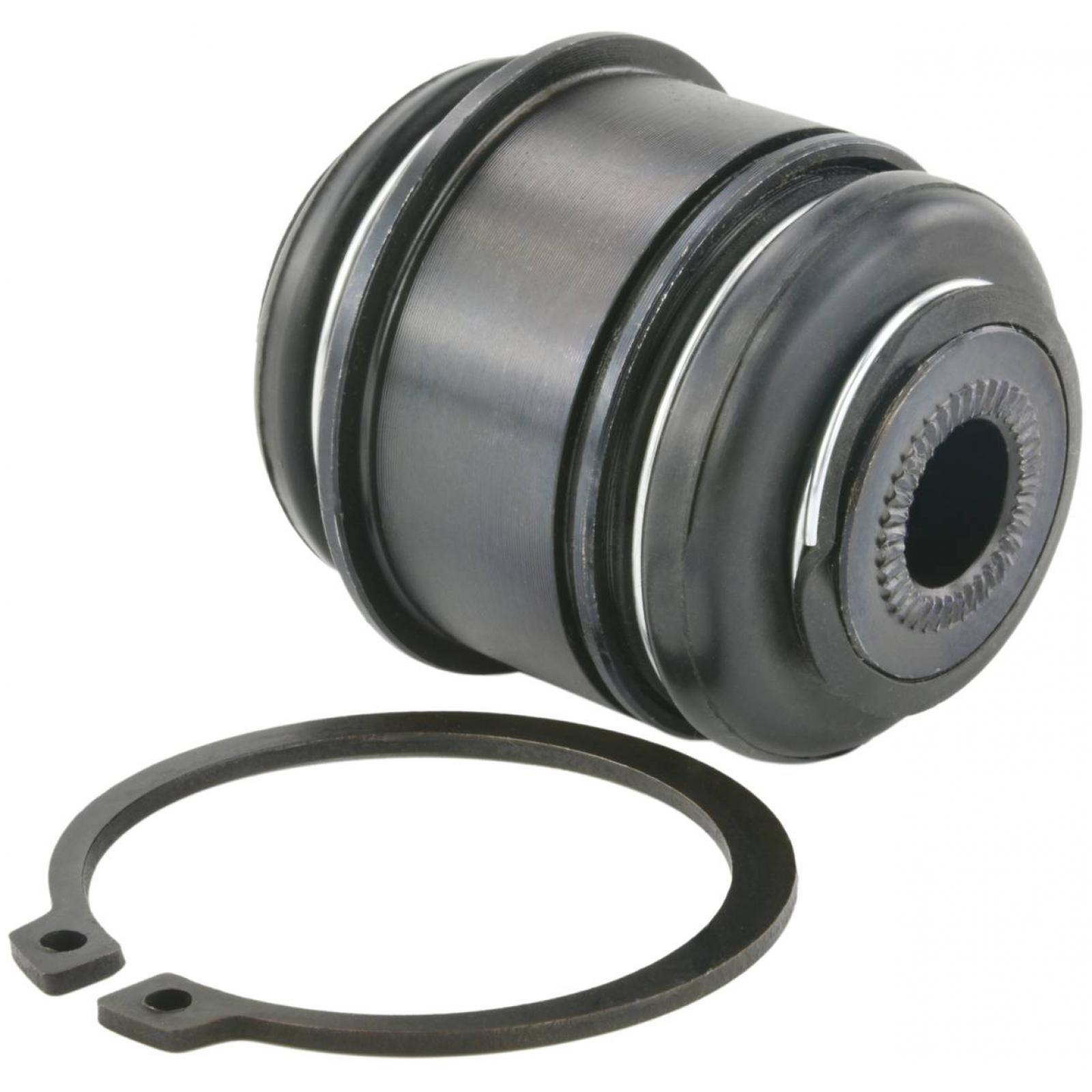 Bushing, rear lower control arm