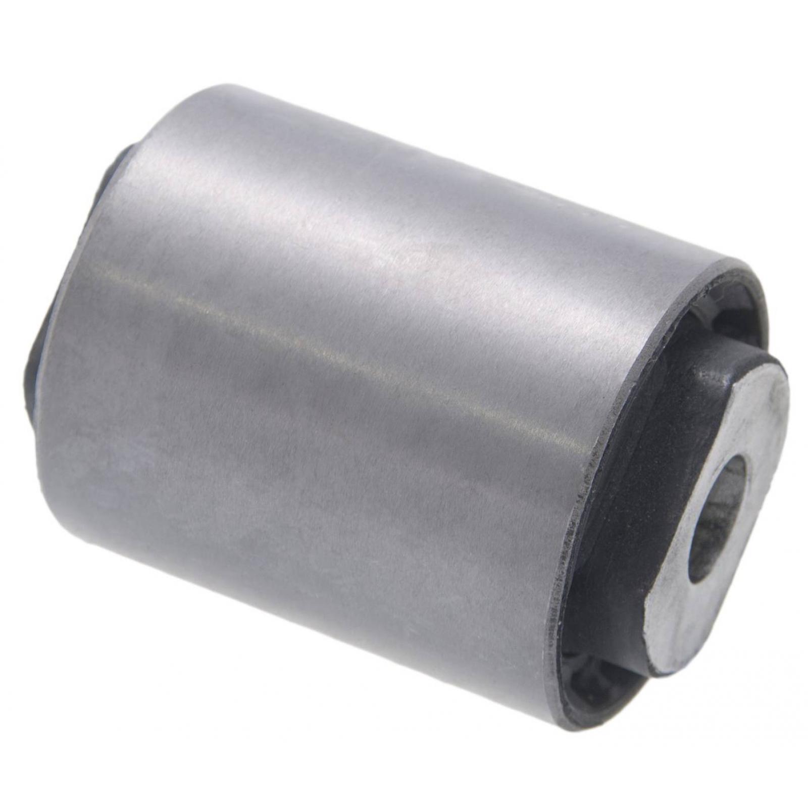 Bushing, rear lower control arm