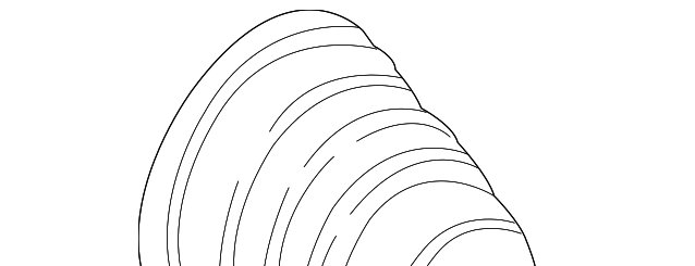 BMW Front Axle Inner CV Joint Boot Kit - X5 E70 X6 E71 E72